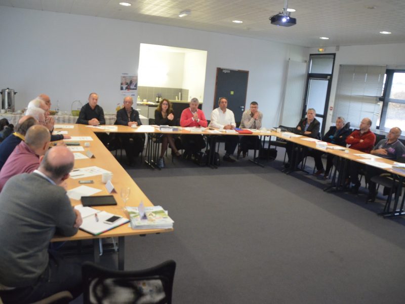 chimio palliative definition chimiothérapie pour ou contre