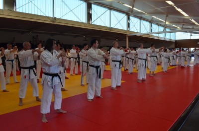 Démonstration karaté au dojo