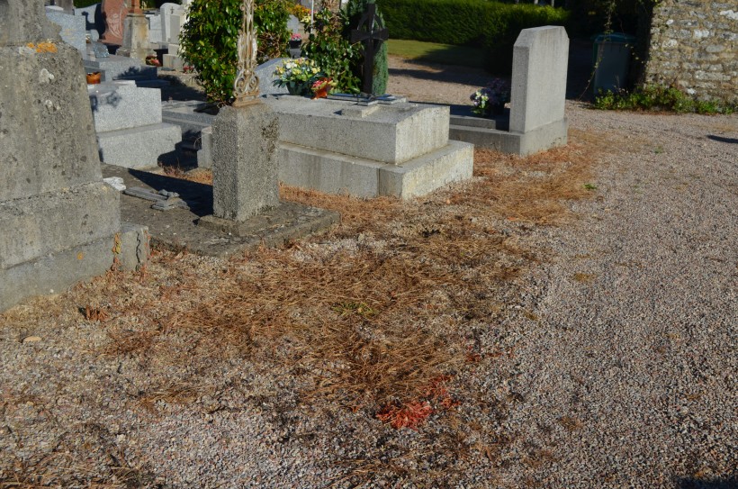 Pour rétablir rapidement la propreté du cimetière, la municipalité a fait désherber les allées.