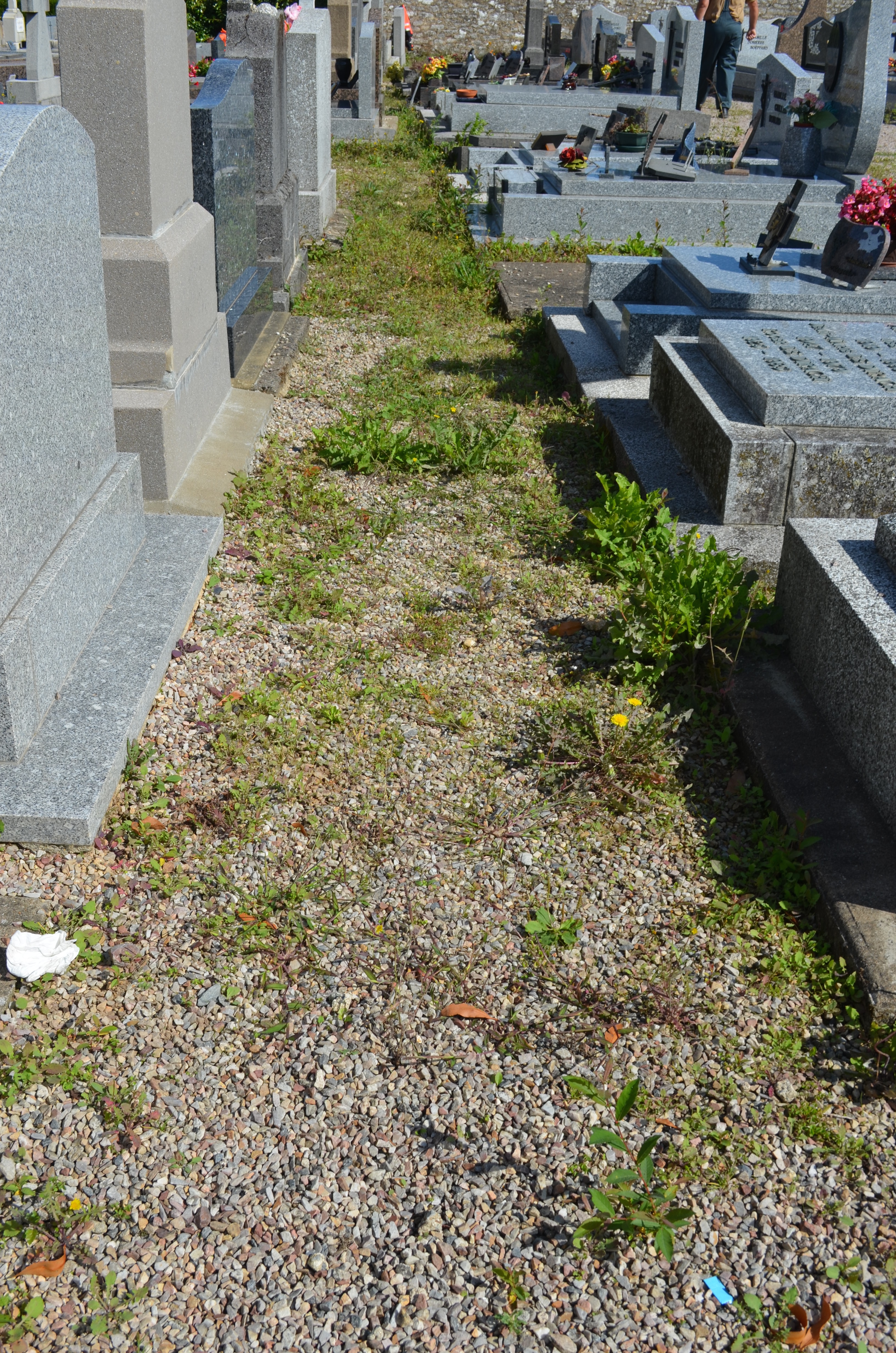 Le mauvais état de l'ancienne partie du cimetière suscite la colère des habitants et des réactions peu souhaitables pour l'environnement