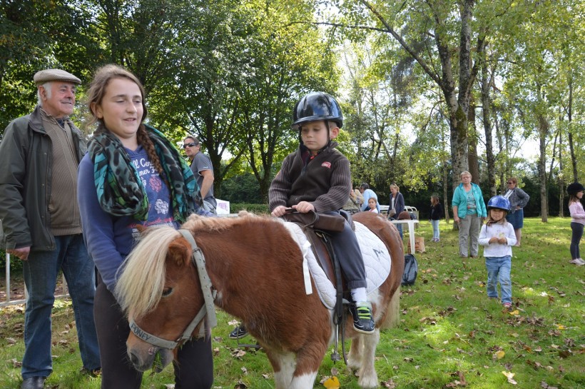 Baptême de poneys