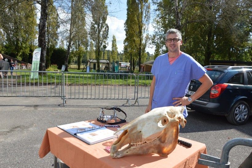 Thierry Martial, dentiste équin de Malansac