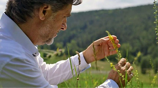 Photo extraite du film "Emotions et fleurs de Bach, aux portes de l'âme", sur la pratique du naturopathe Dominick Léaud-Zachoval. Pour comprendre cette méthode naturelle méconnue et "trouver la fleur" qui vous convient le mieux, il est possible d'assister à la soirée docu-débat, vendredi 26 février à 20 h 30 à la salle de spectacle. Participation libre.