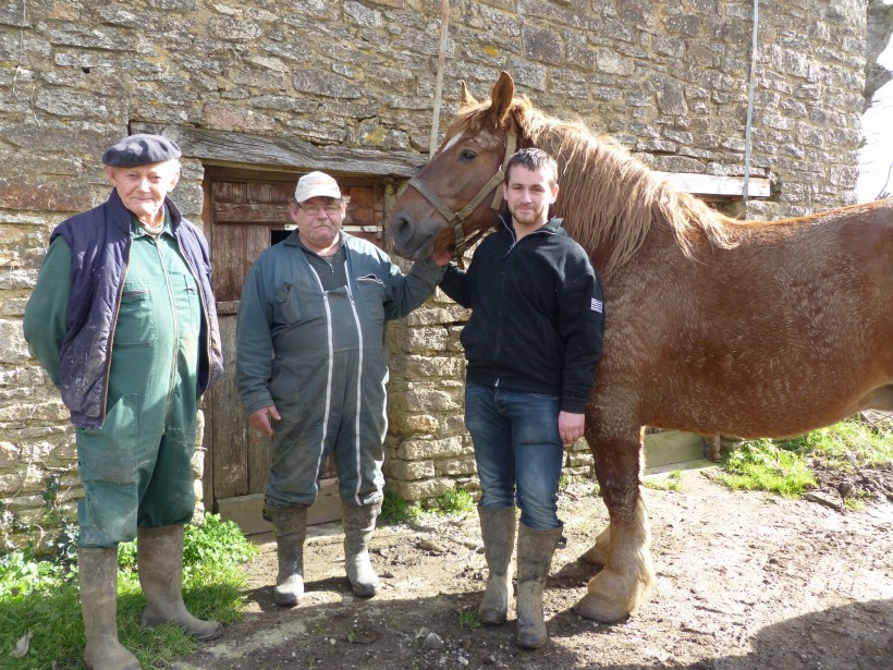 Louis, Maurice et Julien avec Altesse du Roc, 4e de sa catégorie au SIA 2013.