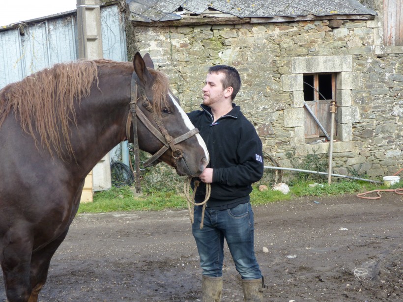 Julien Goibier et Berlin du Bot, lauréat 2014 au salon de l'agriculture (mâle de 3 ans, postier). 