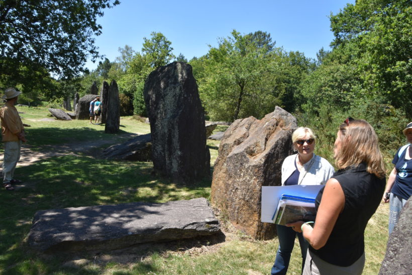 Monteneuf, Les landes, Menhirs