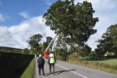 gens du voyage vallet