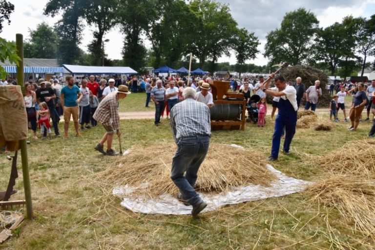 Fete Des Battages Saint Nicolas Du Tertre 2022