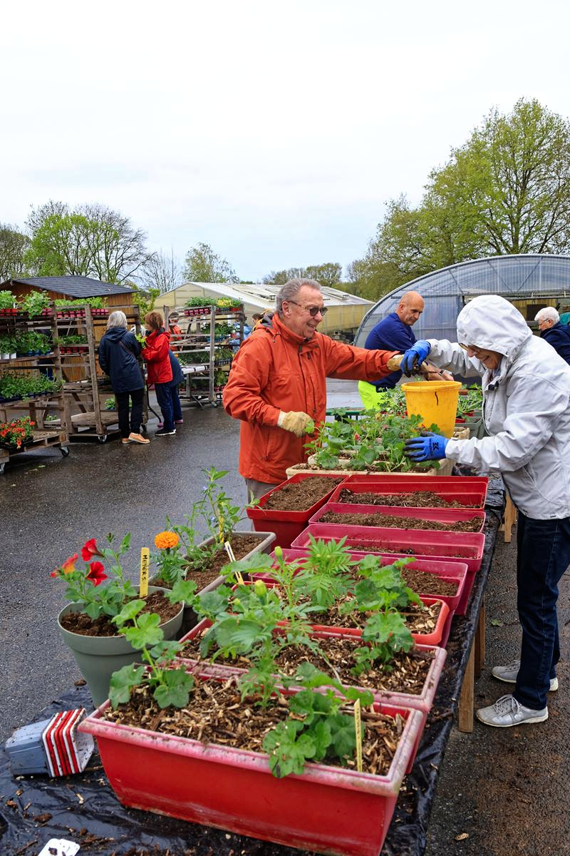Josselin. Les habitants mettent la main à la terre pour fleurir la ville