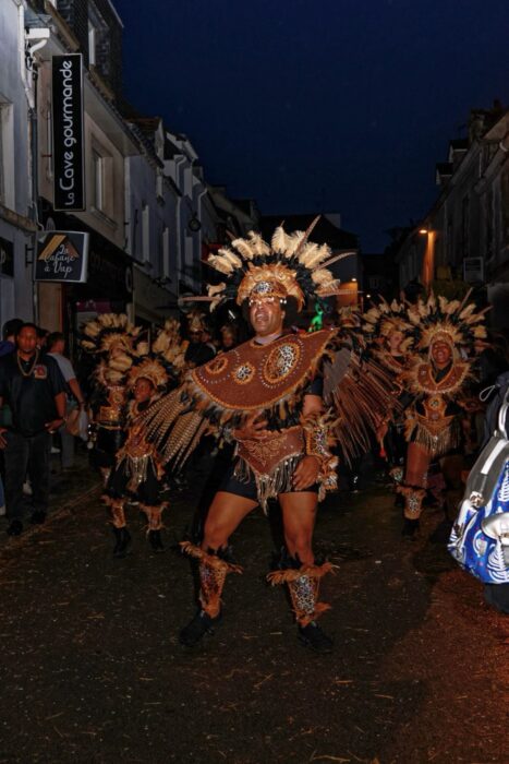 Plormel. La galerie photos du carnaval de nuit - Les Infos du Pays Gallo